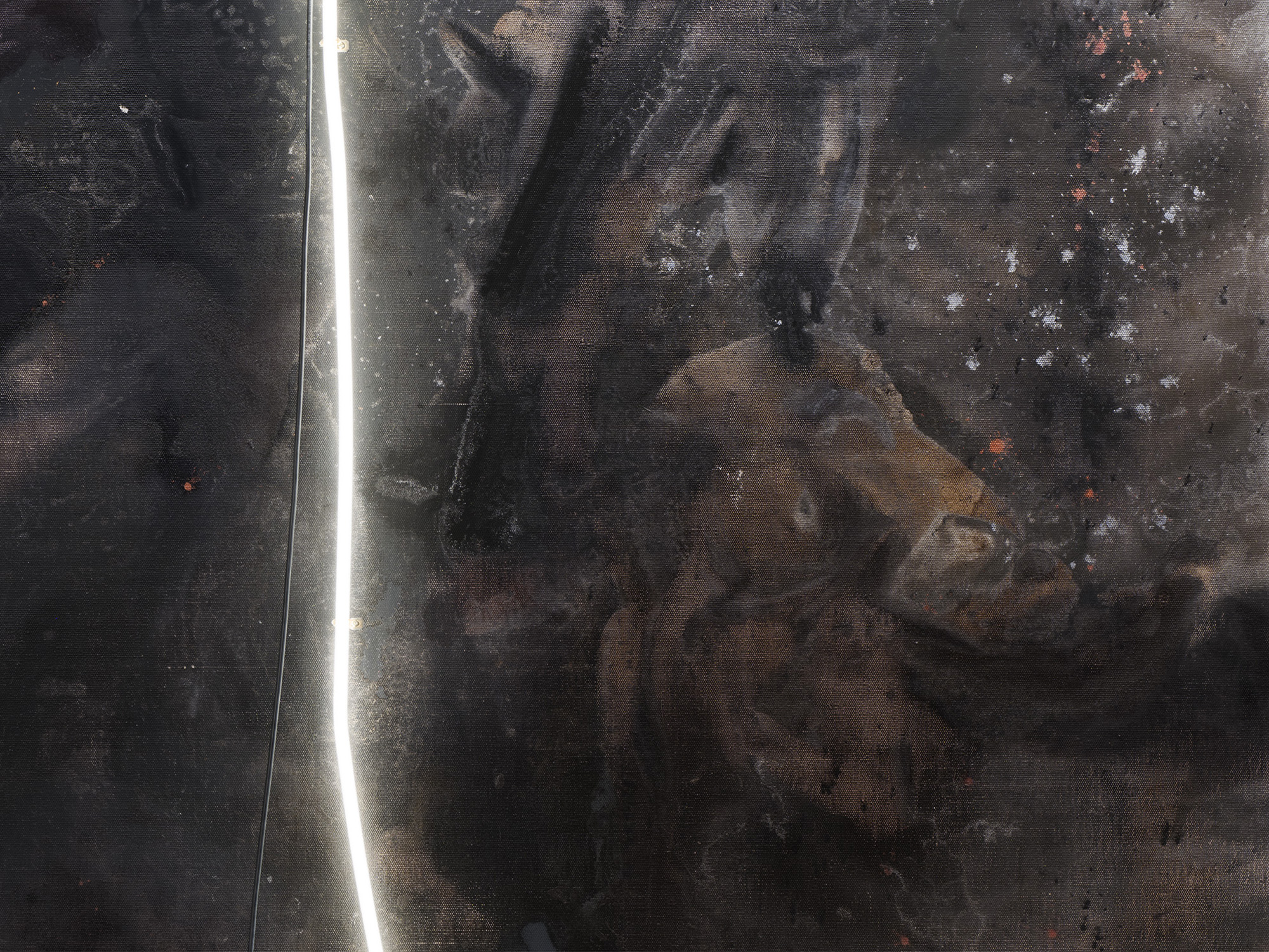 MUSEO DI PALAZZO GRIMANI | The Flaying of Marsyas di Mary Weatherford